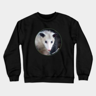 Opossum Crewneck Sweatshirt